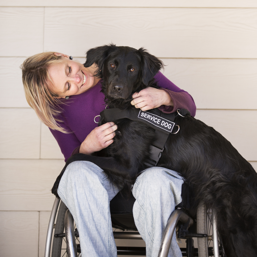 Service Dog for Anxiety | CertaPet®