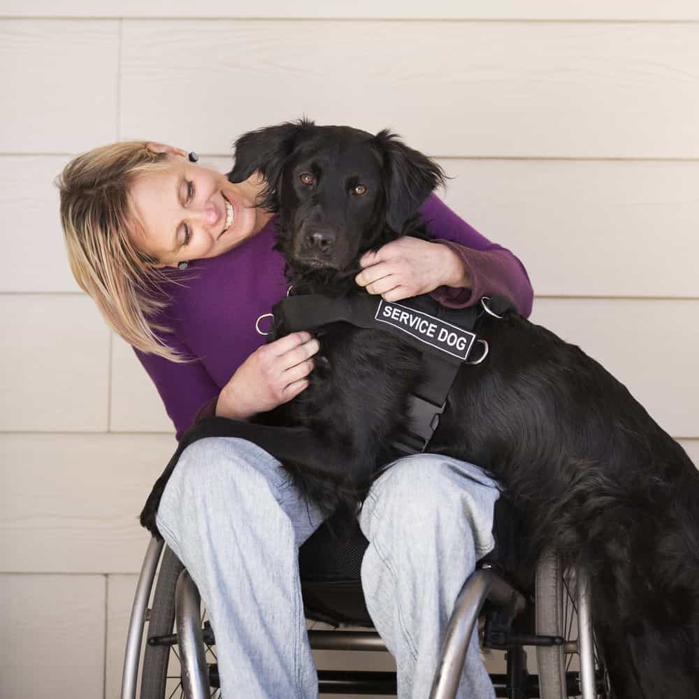 anxiety service dog