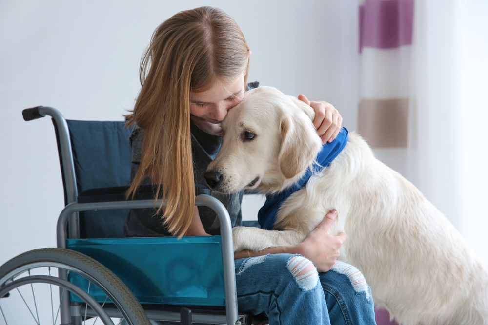 service dog used by persons with aspergers