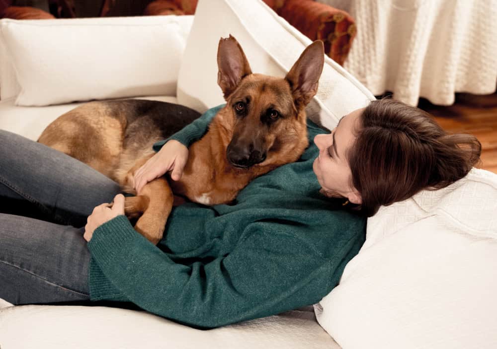 are german shepherds the best service dogs