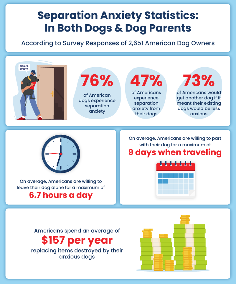 Infographic displaying dog separation anxiety statistics