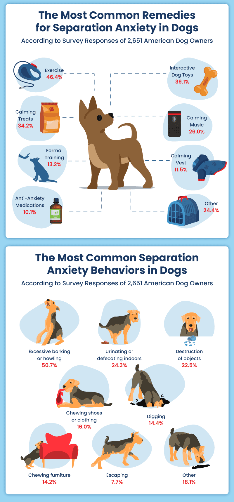 do dogs grow out of separation anxiety