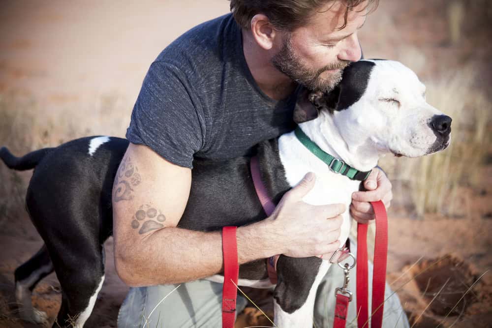 How to Get a Legitimate Emotional Support Animal (or ESA Letter) How to Get a Legitimate Emotional Support Animal (or ESA Letter)
