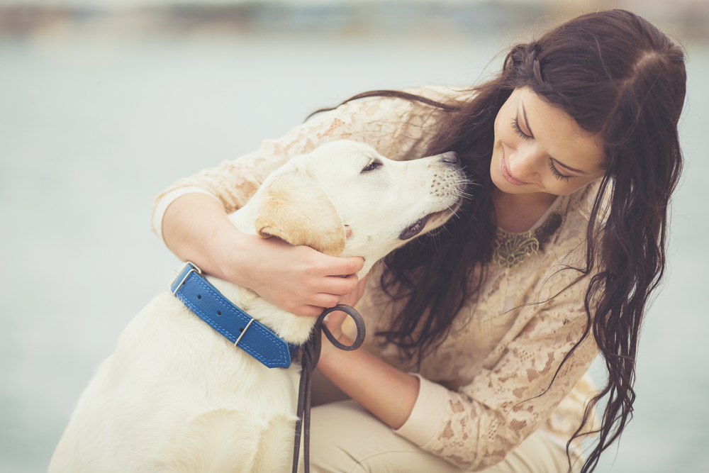 How to Get a Legitimate Emotional Support Animal (or ESA Letter)