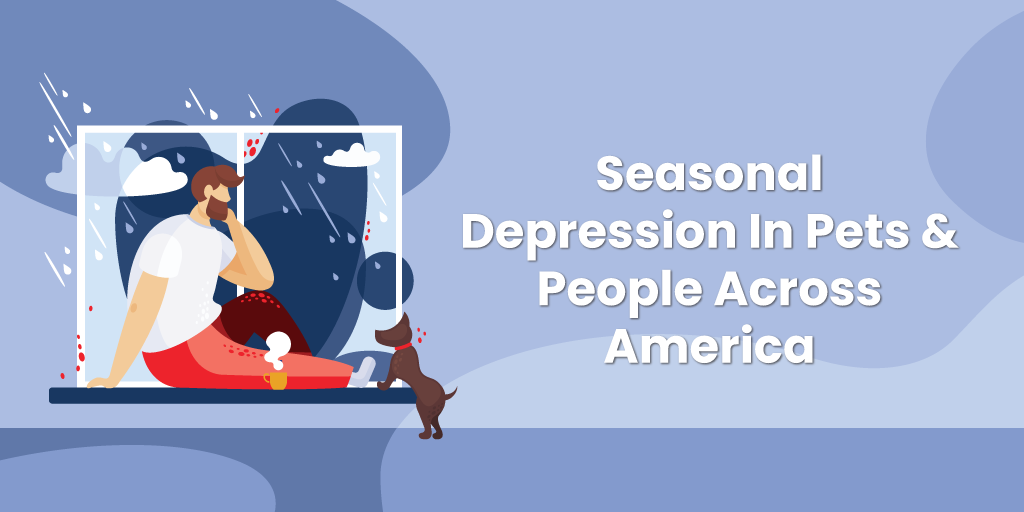 Seasonal Depression in People & Pets Across America