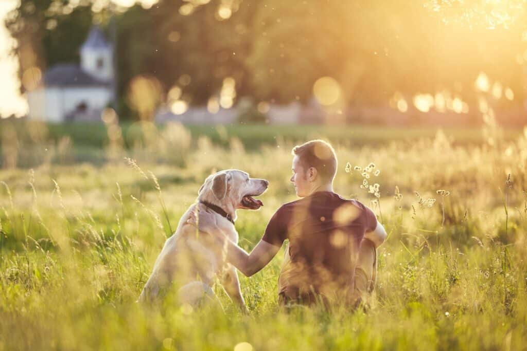 man and dog relaxing together on green grass.