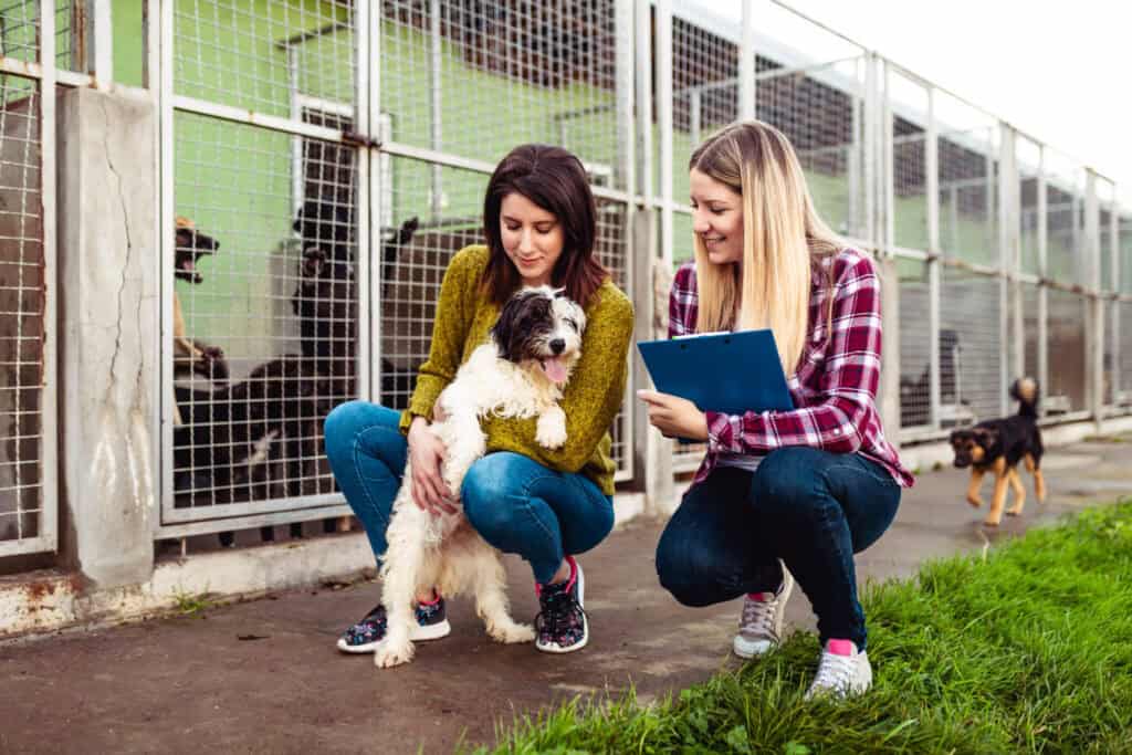 woman interacts with dogs at an adoption center.