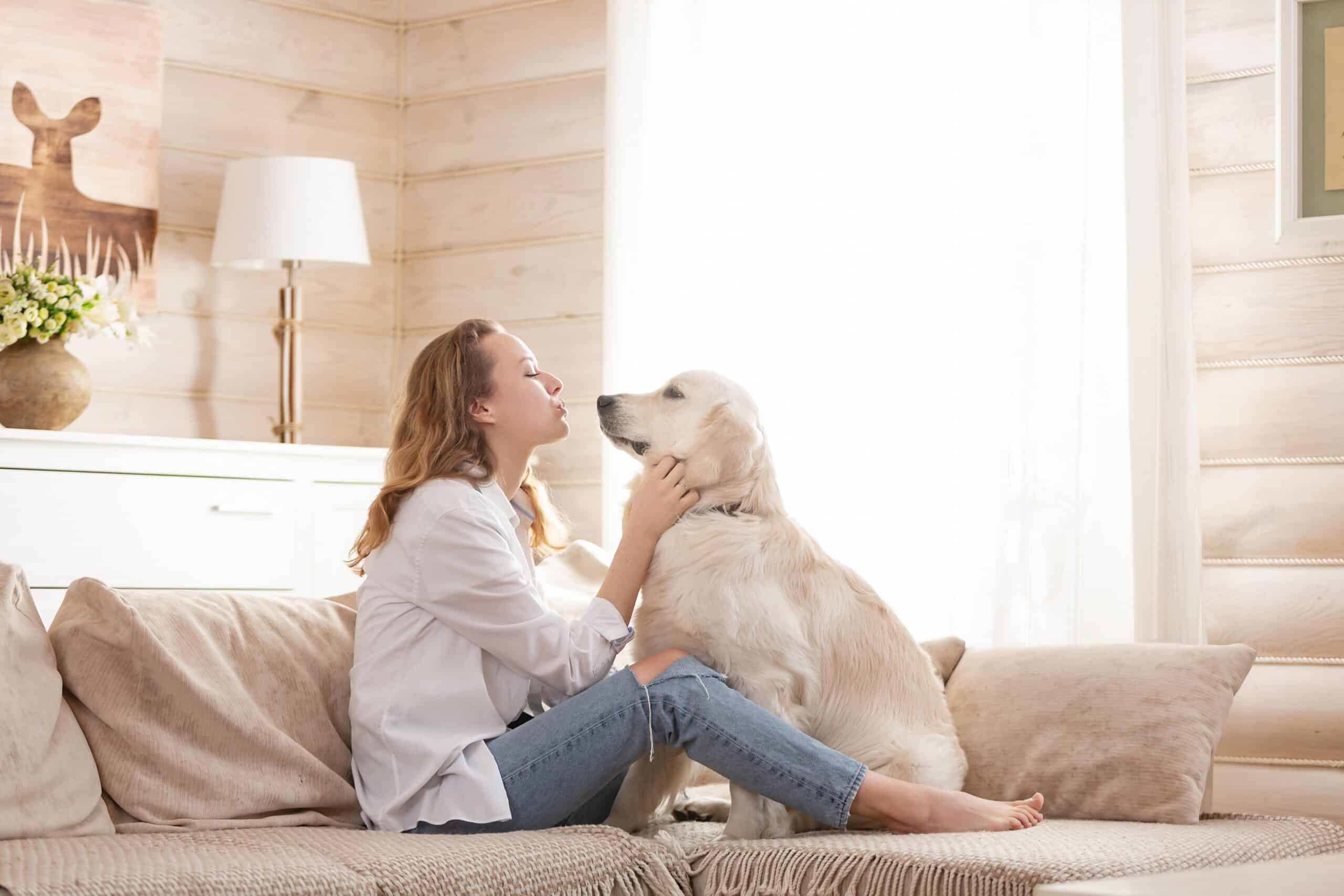 Emotional Support Animal. Woman cuddling on the couch with a Labrador
