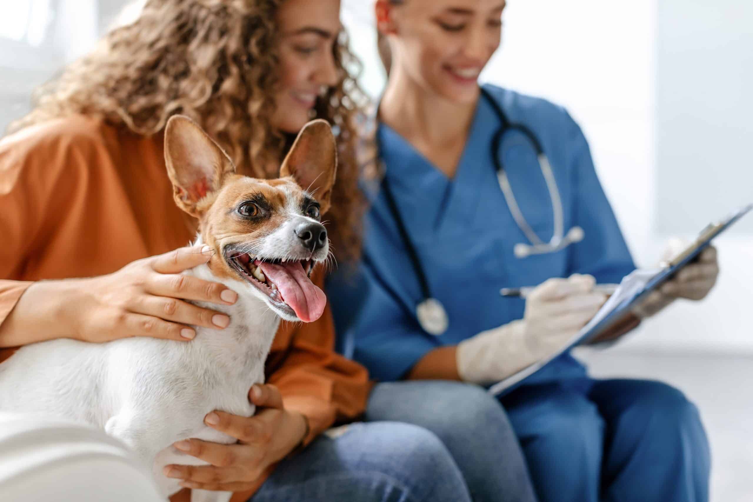 How to get an ESA letter consultation. A patient and a medical professional having a conversation while the patient pets a dog.