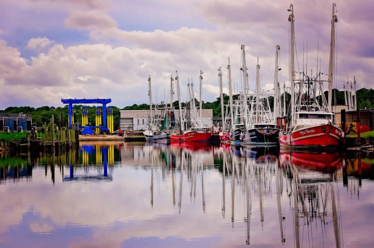 Emotional Support Animal Alabama