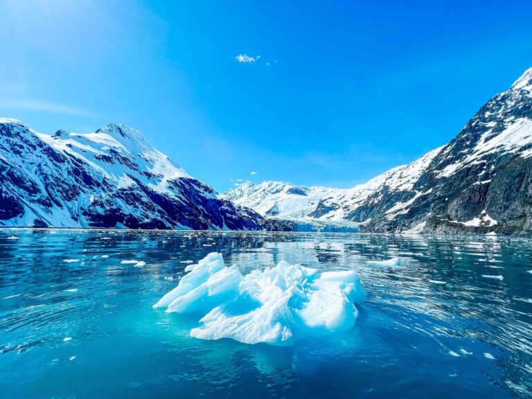 Emotional Support Animal Alaska