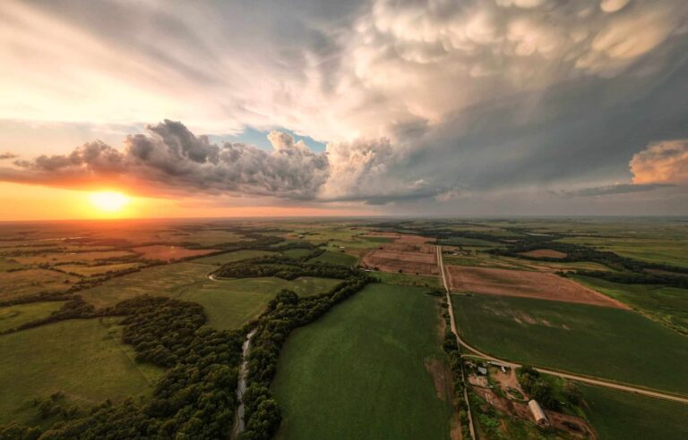 Emotional Support Animal Kansas