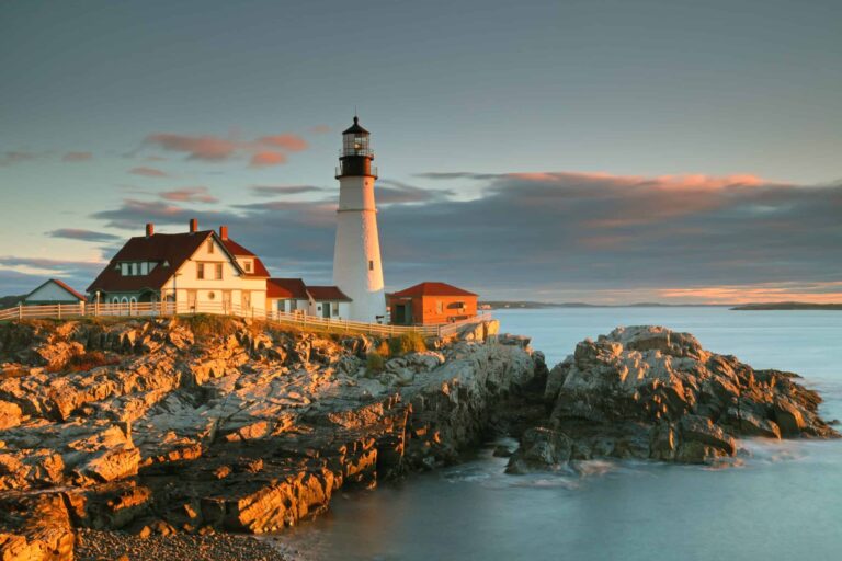 Emotional Support Animal Maine