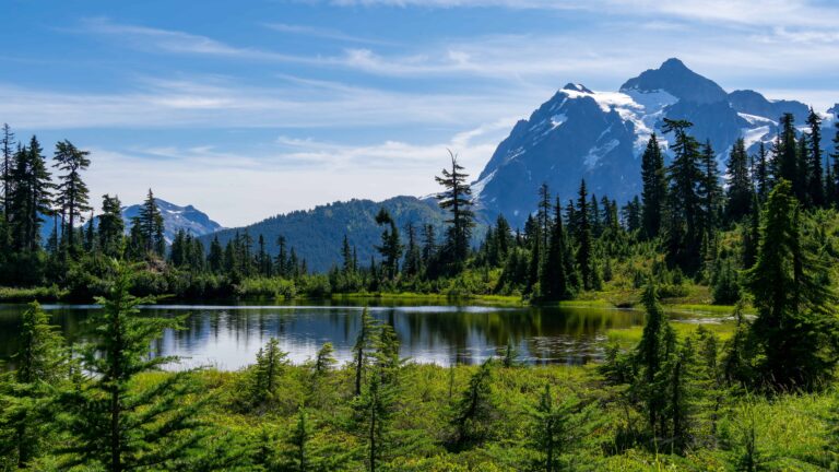 Emotional Support Animal Washington State